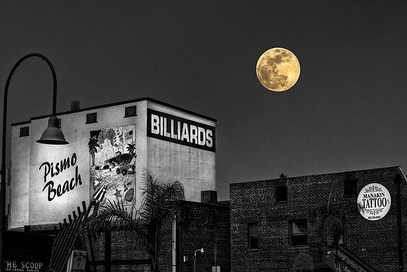 Pismo Yellow Moon 24x16
