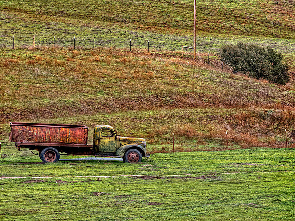 Chamelion truck 30x40